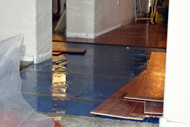 Professional Water Damage Restoration technician working in Marissa, IL
